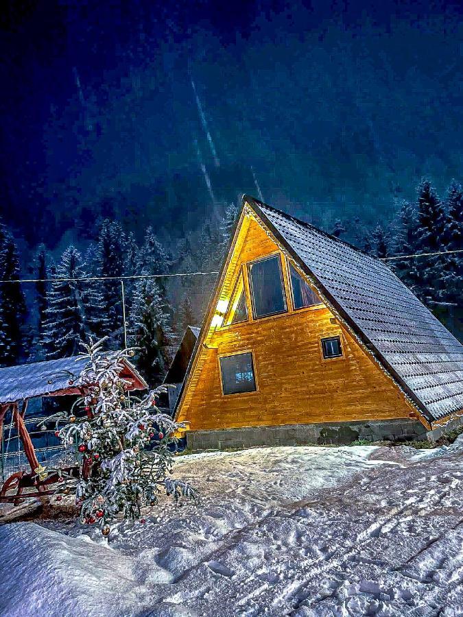 Holiday home Finasii Albac