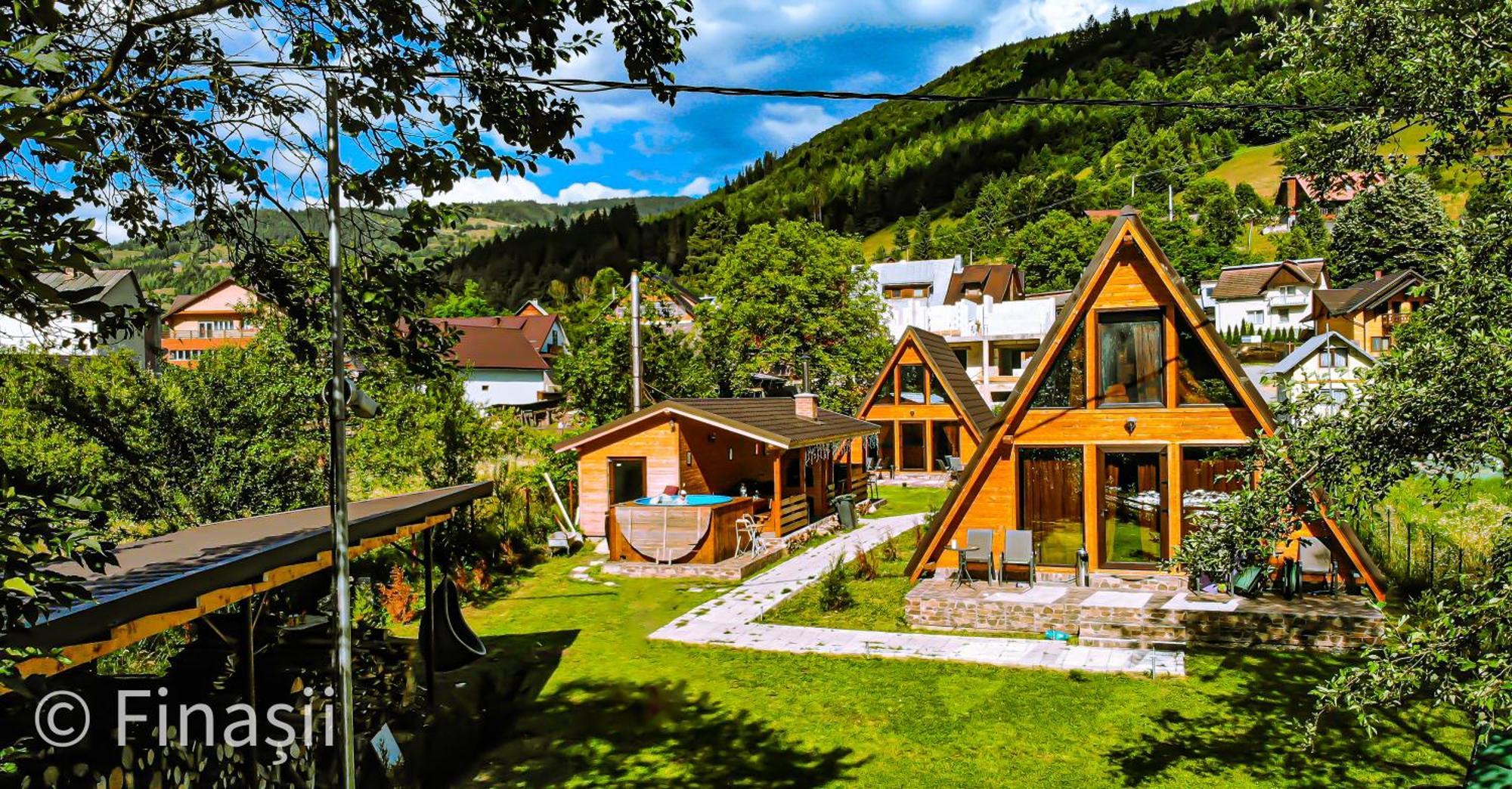 Finasii Holiday home Albac